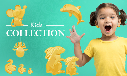addSection